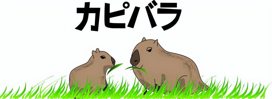 カピバラ　　 カピバラ,草食,草原,食べる,小動物,野生,かわいい,カタカナのイラスト素材