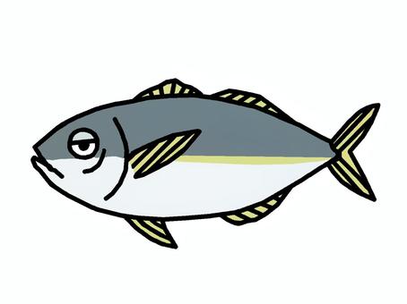 アジ アジ,魚,脊椎動物,楯状鱗,ぜんご,食用,イラストのイラスト素材