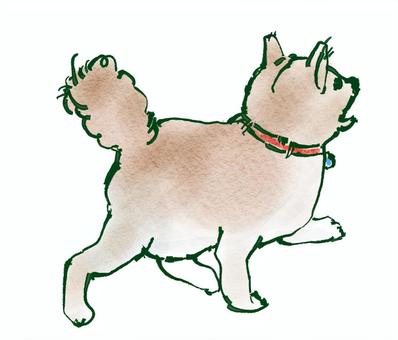 歩く犬