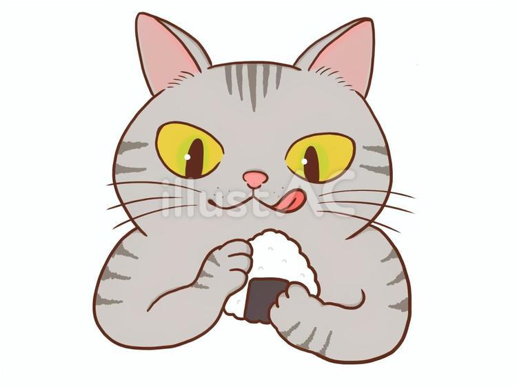 おにぎりを握る猫(キジトラ) 猫,キジトラ,おにぎりのイラスト素材