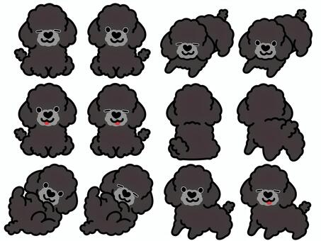 ハート鼻のプードル（セット）5 プードル,トイプードル,犬,動物,ハート,鼻,おすわり,ふせ,立つ,ゴロンのイラスト素材