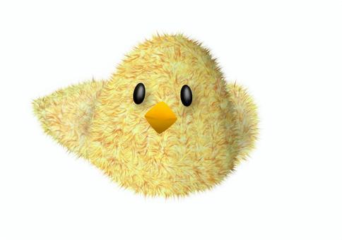 cute chick without eyebrows, cute chick without eyebrows, cah ayu, cute, zat sederhana,