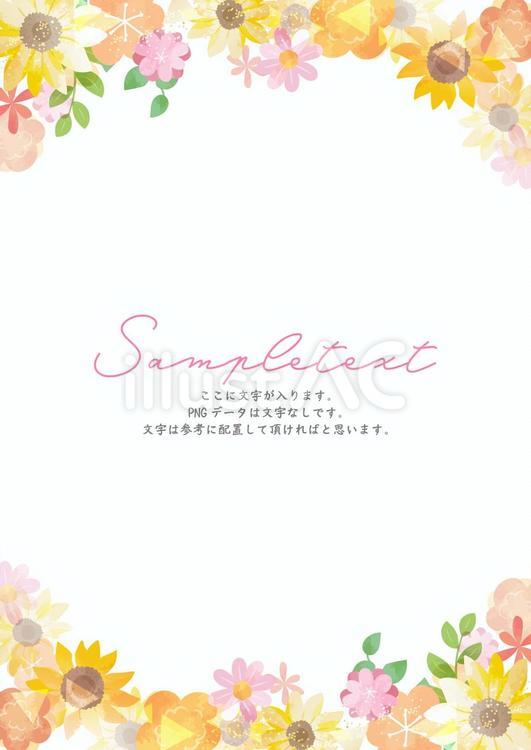 華やかな夏のお花たちフレーム 夏,花,植物のイラスト素材
