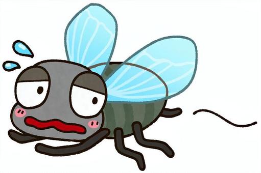 Illustration, fly, insect, pest, 
