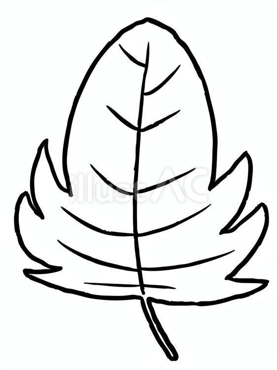 落ち葉（線画） 落ち葉,枯れ葉,葉のイラスト素材