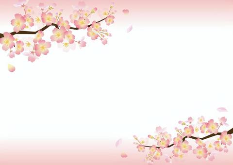 Sakura frame pink gradient, cherry blossoms, sakura, cherry blossoms, JPG, PNG and AI