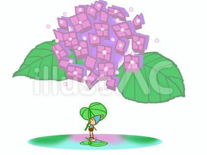 あじさいと妖精