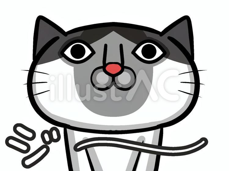 真顔の白黒猫さん２ 白黒,ねこ,動物のイラスト素材