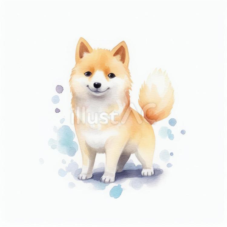茶色の犬 犬,ペット,全身のイラスト素材