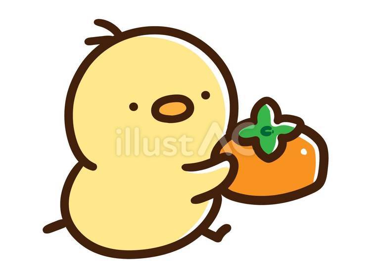 美味しそうな柿をゲットしたかわいいひよこ ひよこ,柿,食べ物のイラスト素材