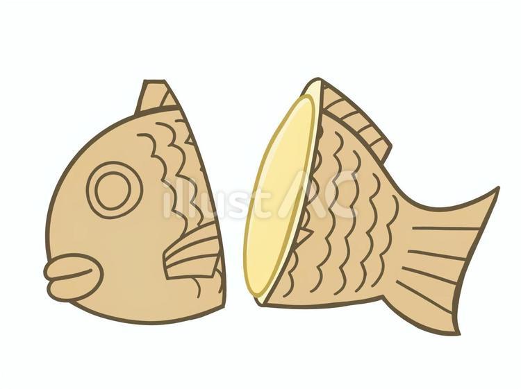 半分に割った　たい焼きカスタードクリーム カスタード,クリーム,分割のイラスト素材