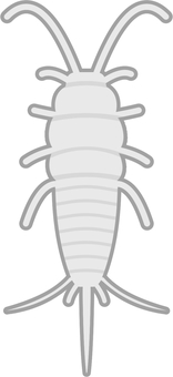 ニュウハクシミ ニュウハクシミ,紙魚,文化財害虫,害虫,外来種,虫のイラスト素材