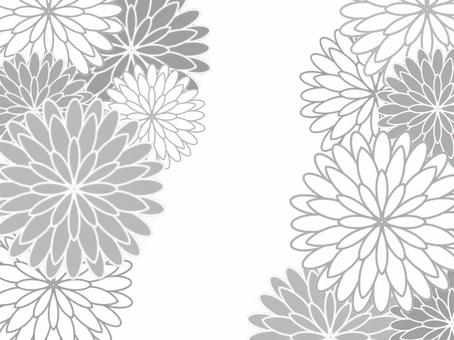 落ち着いたモノクロの菊の花フレーム背景 菊,菊紋,和柄,伝統,柄,文様,パターン,年賀状,年賀状テンプレート,年賀状素材のイラスト素材