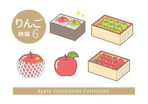 りんごのイラストセット6 りんごのイラストセット6 高級,りんご,箱入り,木箱,葉付き,フルーツキャップ,ネット,緩衝材,贈答,まるごとのイラスト素材