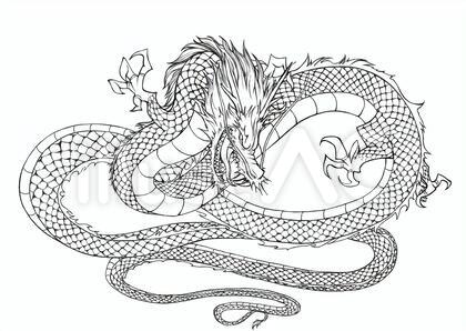 龍 線画イラスト(2)
