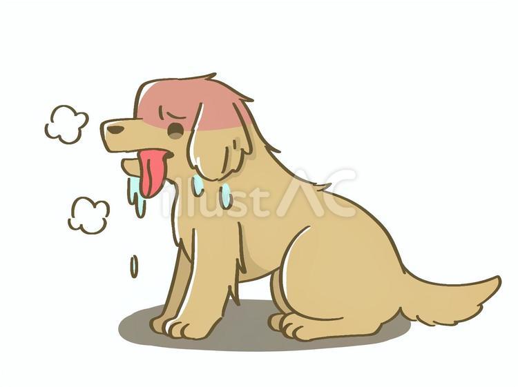 熱中症のゴル ゴールデンレトリバー,犬,熱中症のイラスト素材