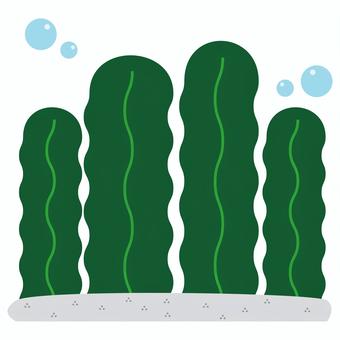 海藻のイラスト 海藻,海,わかめ,シンプル,海底のイラスト素材