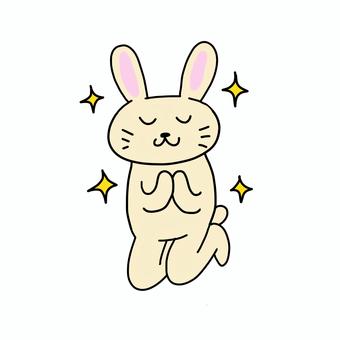 合掌 正座でお祈りするうさぎ 合掌 正座でお祈りするうさぎ うさぎ,動物,キャラ,ポップ,かわいい,合掌,全身,キラキラ,輝く,光のイラスト素材