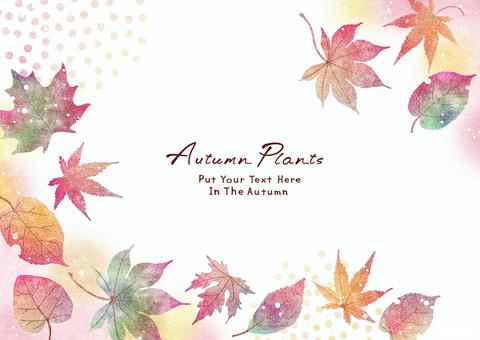 紅葉のフレーム011 秋,紅葉,フレーム,もみじ,楓,水彩,メープル,背景,落ち葉,オオモミジのイラスト素材