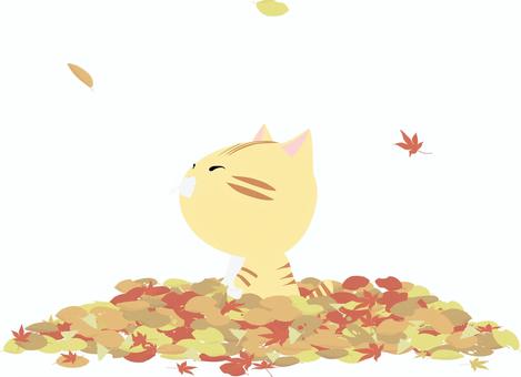 落ち葉_ちゃとら 落ち葉,猫,ちゃとら,イラスト,秋,紅葉のイラスト素材