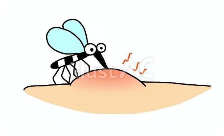 虫刺され 虫刺され,蚊,害虫のイラスト素材