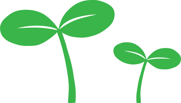 シンプルな双葉の芽 双葉,芽,芽吹き,新芽,葉,植物,芽生え,発芽,若葉,緑のイラスト素材