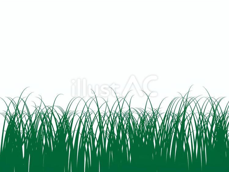 草むら 草むら,葉っぱ,長いのイラスト素材