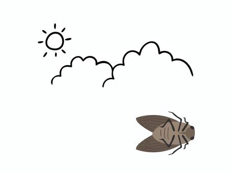 脚を開いてひっくり返った蝉と入道雲 蝉,昆虫,腹,裏側,ひっくり返る,虫,成虫,7月,8月,死骸のイラスト素材