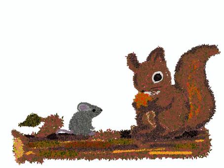 Illustration, animal, small animals, a squirrel, 