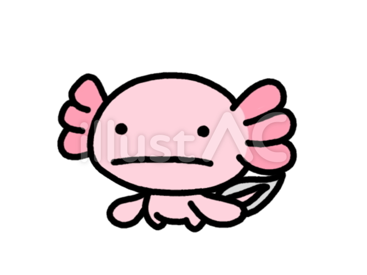 ウーパールーパーイラスト No 無料イラストなら イラストac