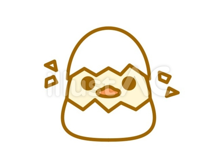 ひよこ　生まれたて　白 ひよこ,動物,鳥のイラスト素材