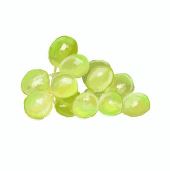 ぶどう 葡萄,秋,シャインマスカット,ぶどう狩り,ぶどう,ブドウ,水彩,水彩風,手書き,手書き風のイラスト素材