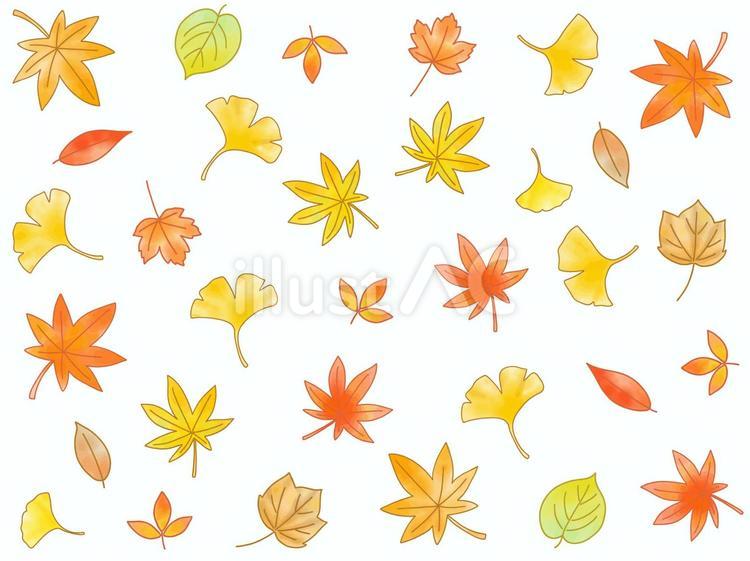 手描き水彩塗りの秋の紅葉背景２ 秋,もみじ,水彩のイラスト素材