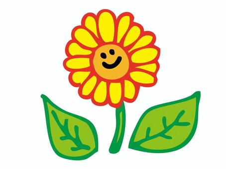 Laughing sunflower, august, july, laugh, JPG, PNG and AI