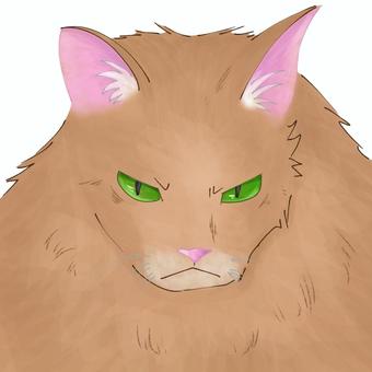 不機嫌な顔の大きい猫 不機嫌,怒る,ねこ,大きい,動物のイラスト素材