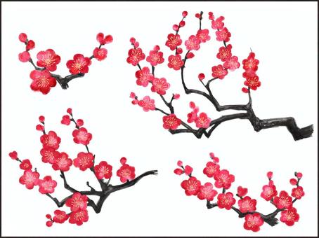 Illustration, plant, plum, flowers and trees, 