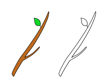 木の枝 木の枝,棒,枝,葉っぱ,色あり,色つき,色なし,モノクロ,線画,シンプルのイラスト素材