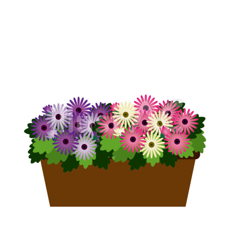 色とりどりの花の寄せ植え 植物,花,鉢植えのイラスト素材