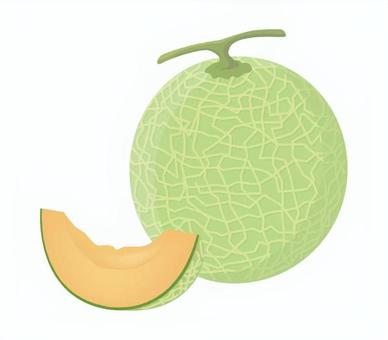 メロン一玉とカットメロン2 メロン,カット,断面,果物,デザート,夏,贈り物,甘い,黄緑,食べ物のイラスト素材