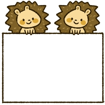 Lion, JPG Lion, ouriço, quadro, ouriço, JPG