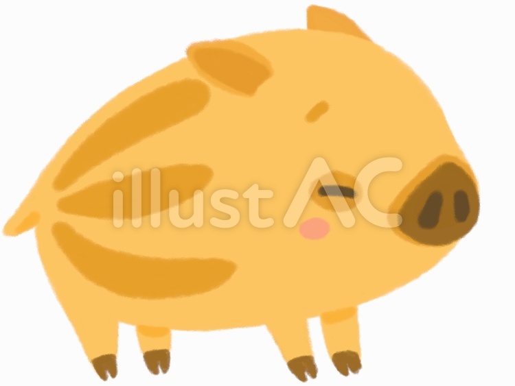 目をつぶったいのししの赤ちゃん 亥,亥年,年賀状のイラスト素材