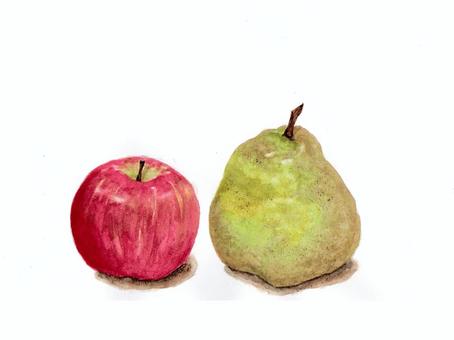 Illustration, fruit, apple, la france, 