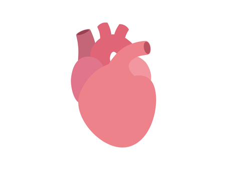 心臓のイラスト 心臓,内臓,臓器,医療,医学,健康のイラスト素材