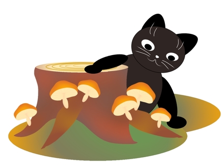 生活猫40 生活猫40 猫,キノコ狩り,きのこ,手描き,かわいい,動物のイラスト素材