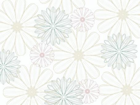 柔軟的蕾絲花背景, JPG 和 PNG 柔軟的蕾絲花背景, 種族, 模式, 背景, JPG 和 PNG