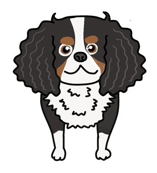 キャバリアトライ キャバリア,トライ,キングチャールズスパニエル,犬,ペット,かわいい,ゆるい,手描き,デフォルメ,正面のイラスト素材