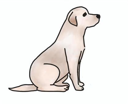 Illustration, un cane, labrador retriever, seduta, 