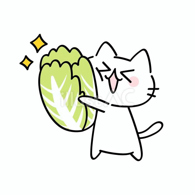 白菜を持っている猫 猫,かわいい,キャラクターのイラスト素材