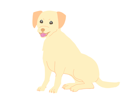 ラブラドールレトリバー ラブラドールレトリバー,イエロー,犬,ペット,主線なし,ポップ,シンプル,単体のイラスト素材