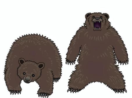 クマ（怖い方） 熊,動物,猛獣,怖い,茶色のイラスト素材